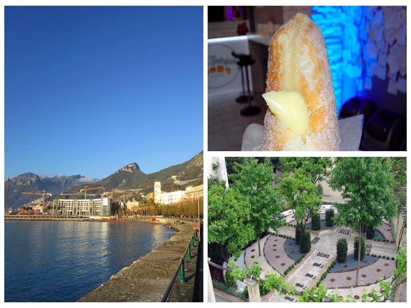 collage salerno_800x600.jpg