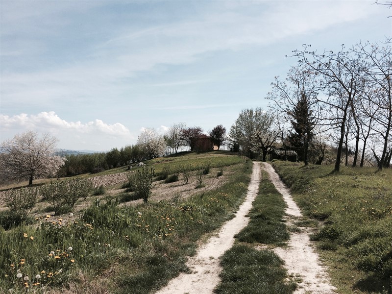 Sentiero verso ciabot