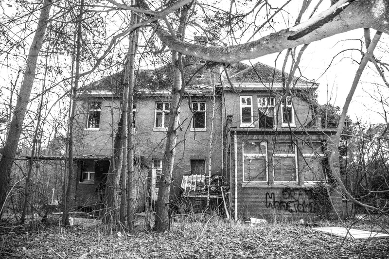 house-surrounded-with-trees-on-grayscale-photography-923269
