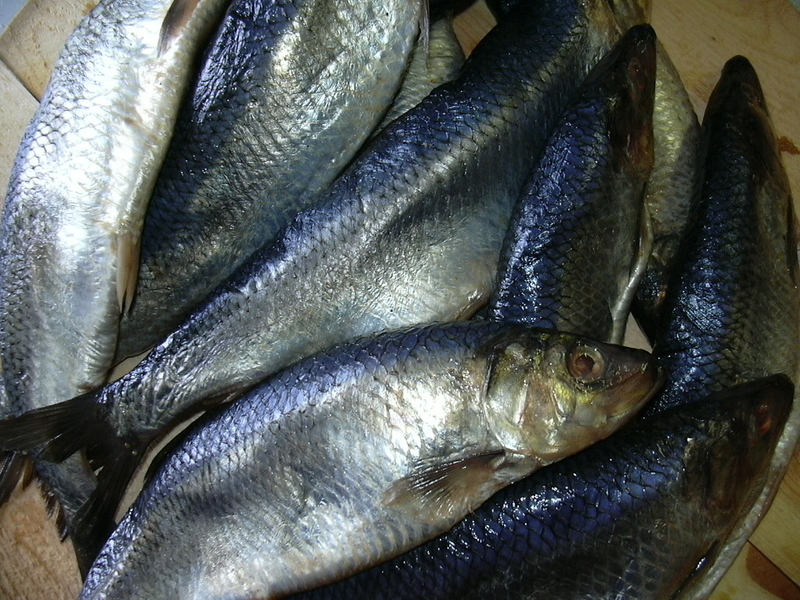 04 Aringhe fresche.jpg