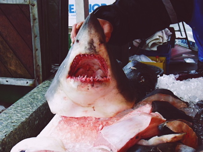 Processed with VSCO with f2 preset