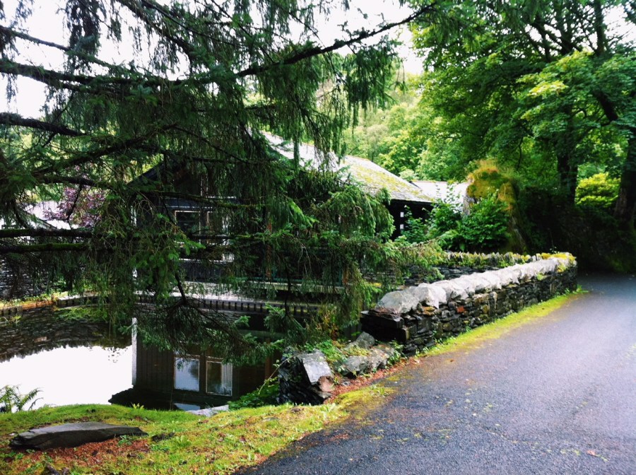 Processed with VSCO with c1 preset