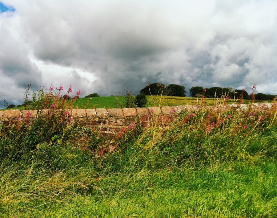 Processed with VSCO with g3 preset