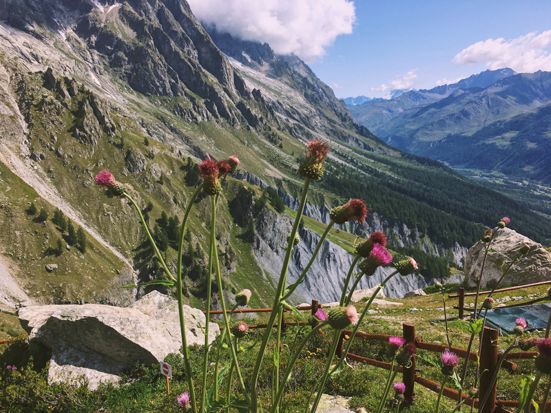 Pavillon du Mont Frety Skyway.jpg