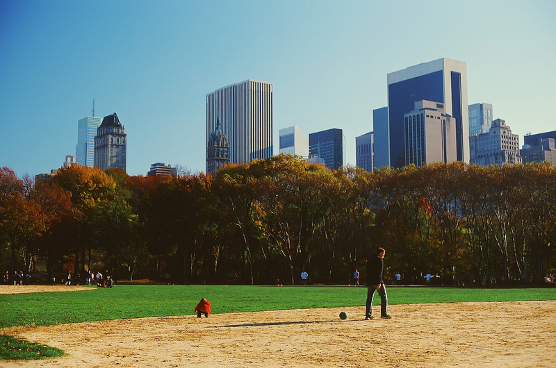 New York Central Park.jpg
