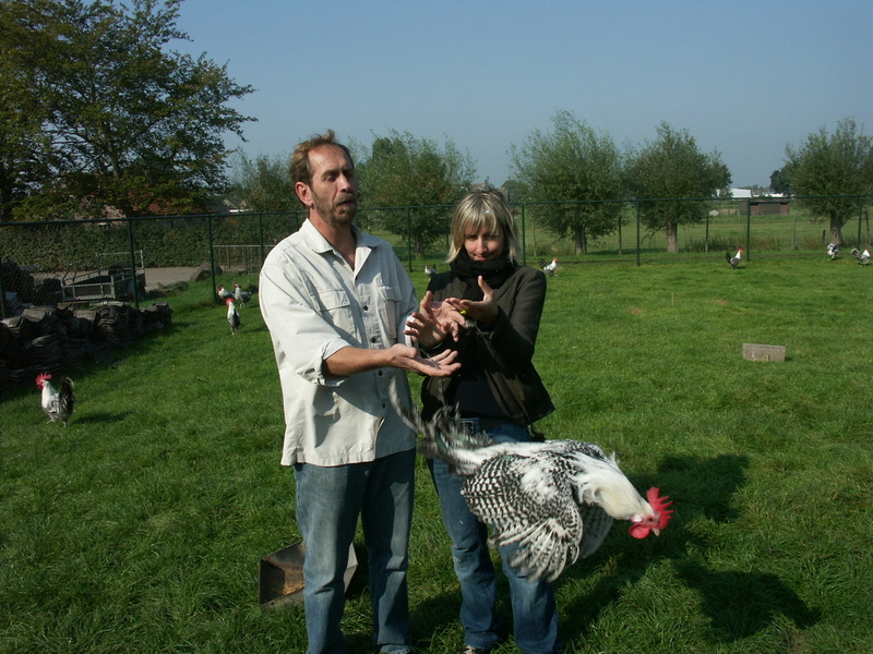 Silvia pollo Chaam.jpg