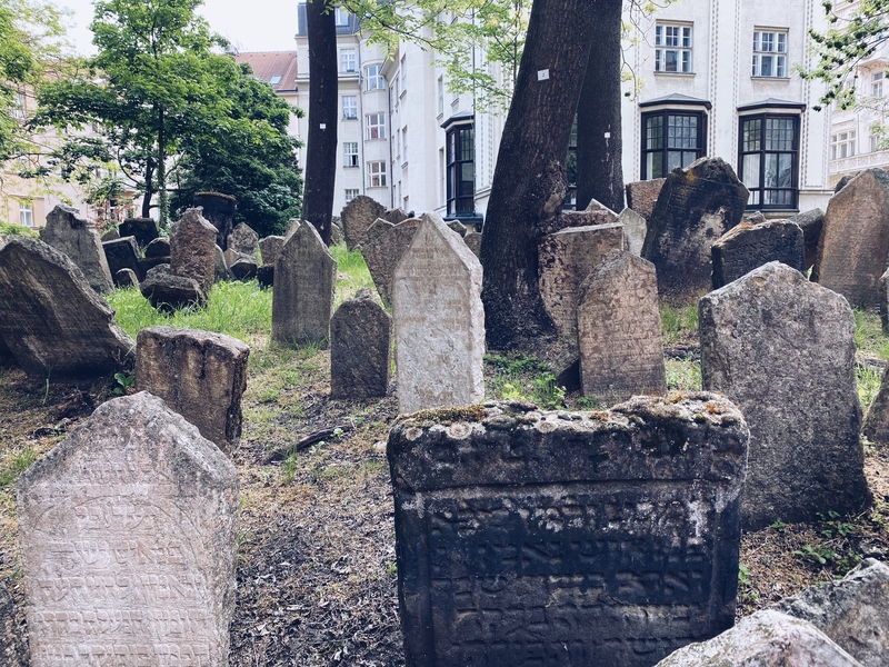 John Lennon Wall Praga Cover